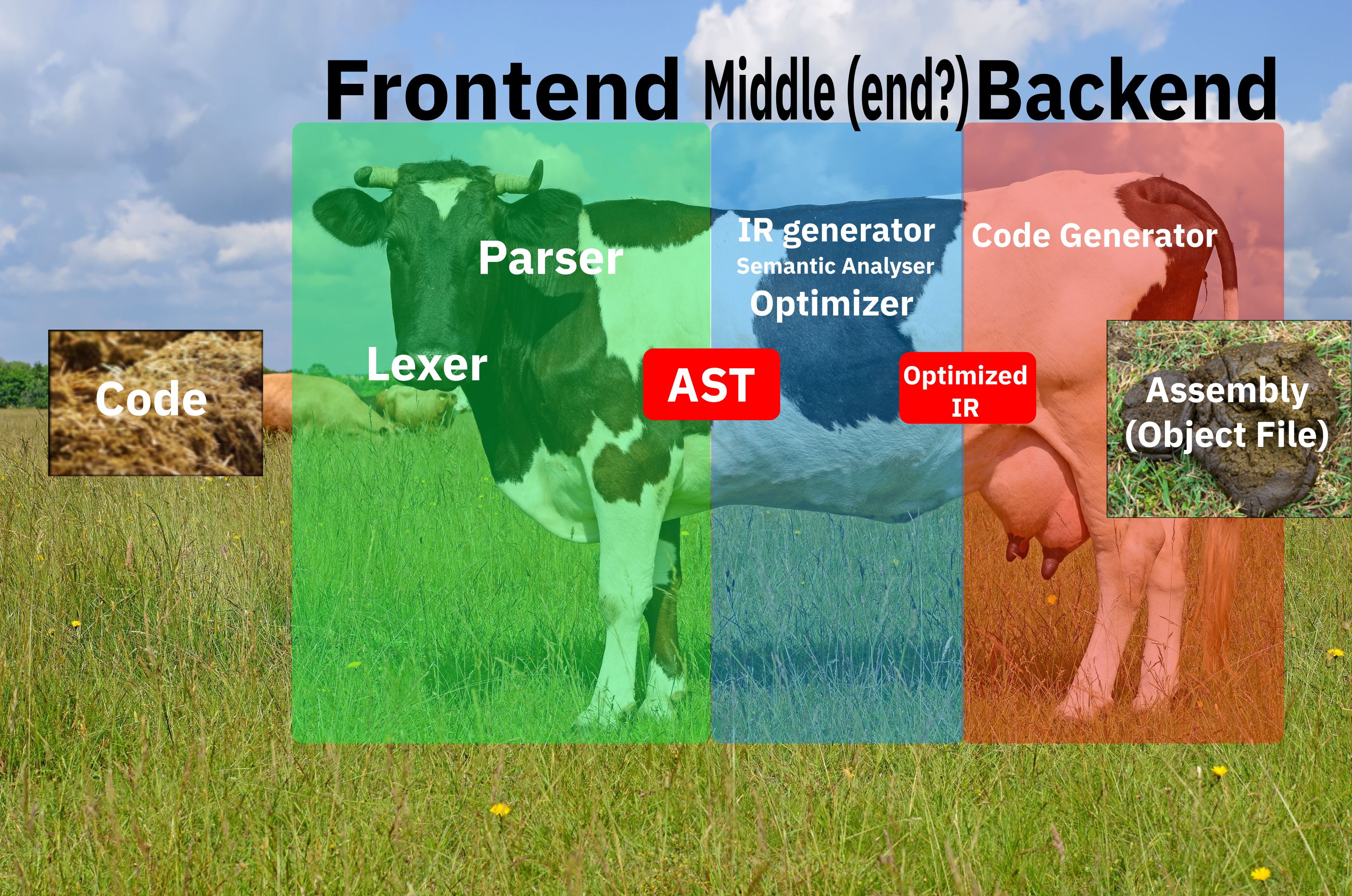 A compiler's structure, represented by a cow